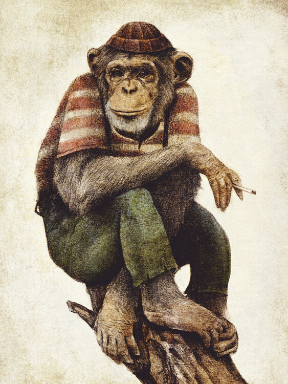 Banksy street art - chimp Poster, Affiche | All poster chez Europosters