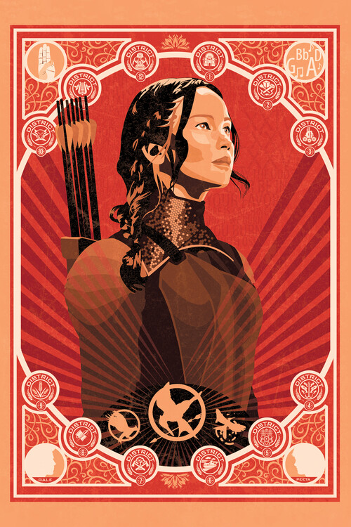 HUNGER GAMES ED.COLLECTOR - Cdiscount