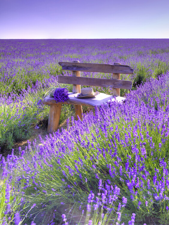 Umělecká fotografie Bench in Lavender field