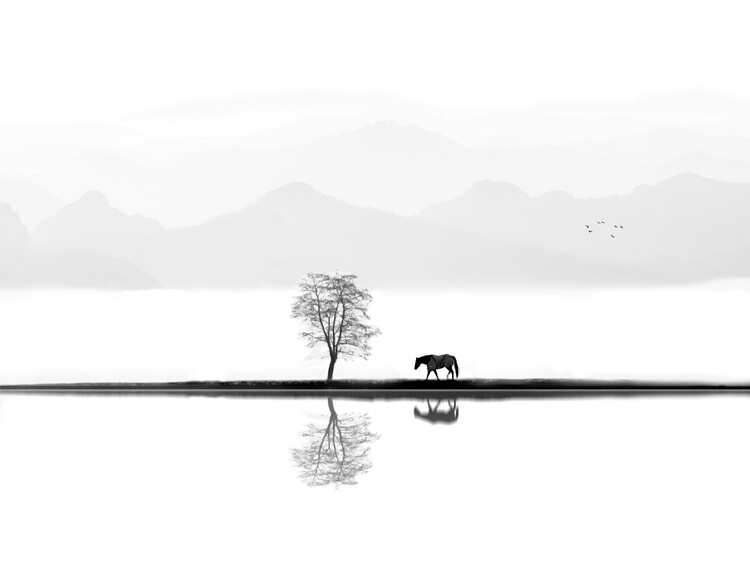 Fotografie Quiet Moment, Ivan Huang, (40 x 30 cm)