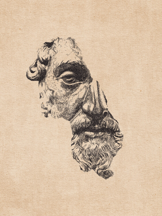 Illustration Marcus Aurelius - pencil