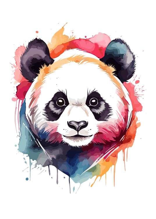 Ilustrace Panda Face