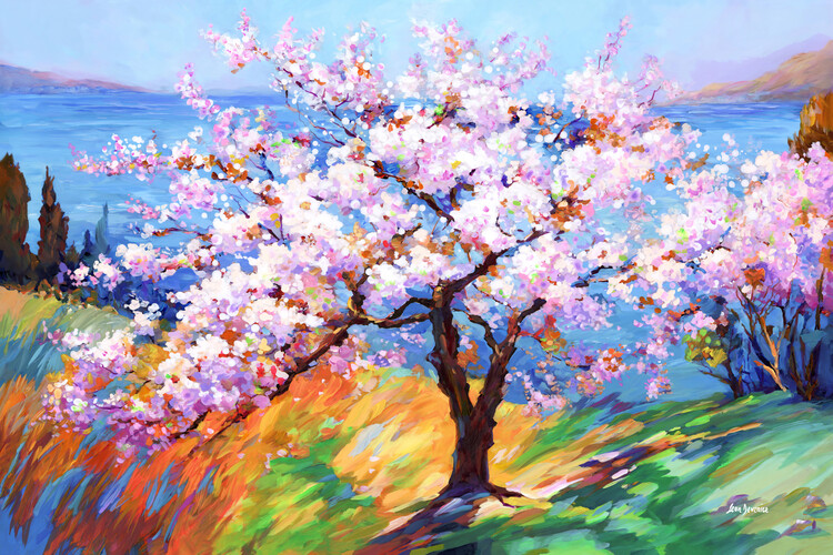 Illustration Cherry Blossom Glory