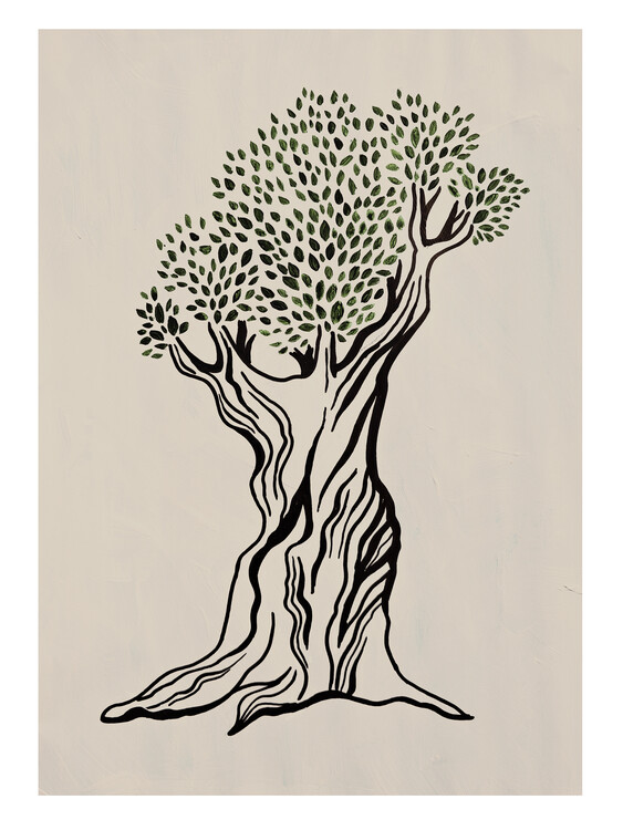 Ilustrace Olive Tree