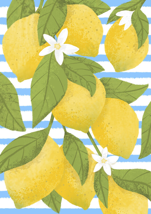 Illustration Positano lemons