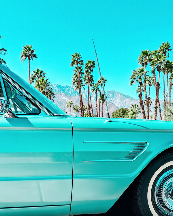 Fotografie Teal Thunderbird in Palm Springs, Tom Windeknecht, (30 x 40 cm)
