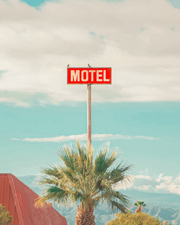 Fotografie This Motel is for the Birds, Tom Windeknecht, 30x40 cm