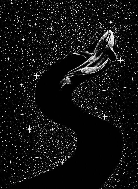 Ilustrace Starry Orca, Aliriza Cakir, (30 x 40 cm)