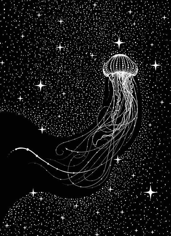 Ilustrace Starry Jellyfish, Aliriza Cakir, 30x40 cm