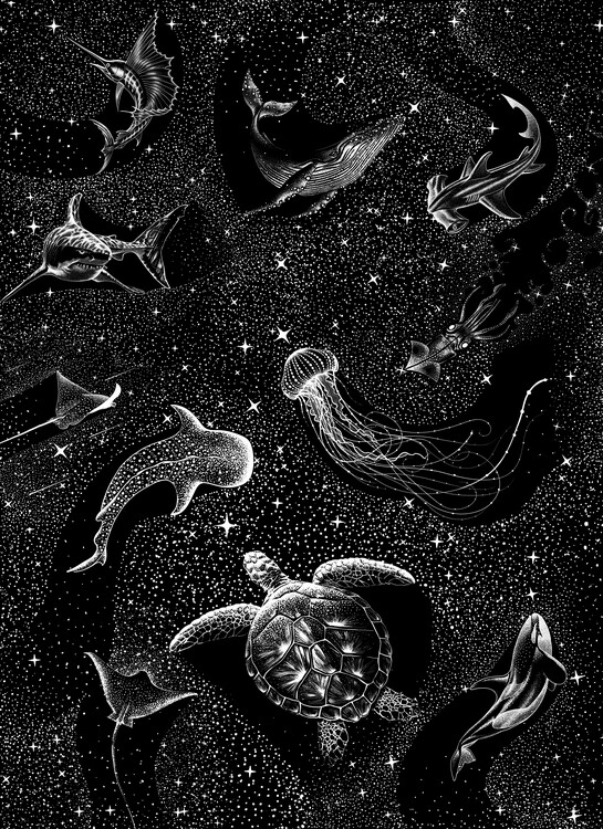 Ilustrace Cosmic ocean, Aliriza Cakir, 30x40 cm