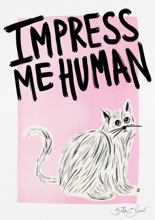 Ilustrace Cat Owner - Impress Me Human, Baroo Bloom, 30x40 cm