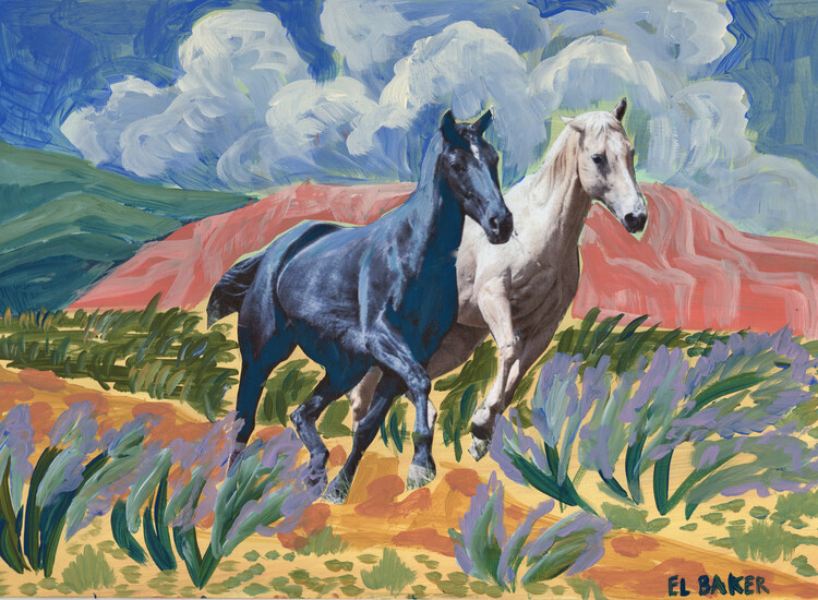 Ilustrace Two horses, Eleanor Baker, 40x30 cm