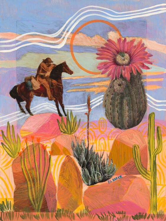 Ilustrace Wild West, Eleanor Baker, 30x40 cm