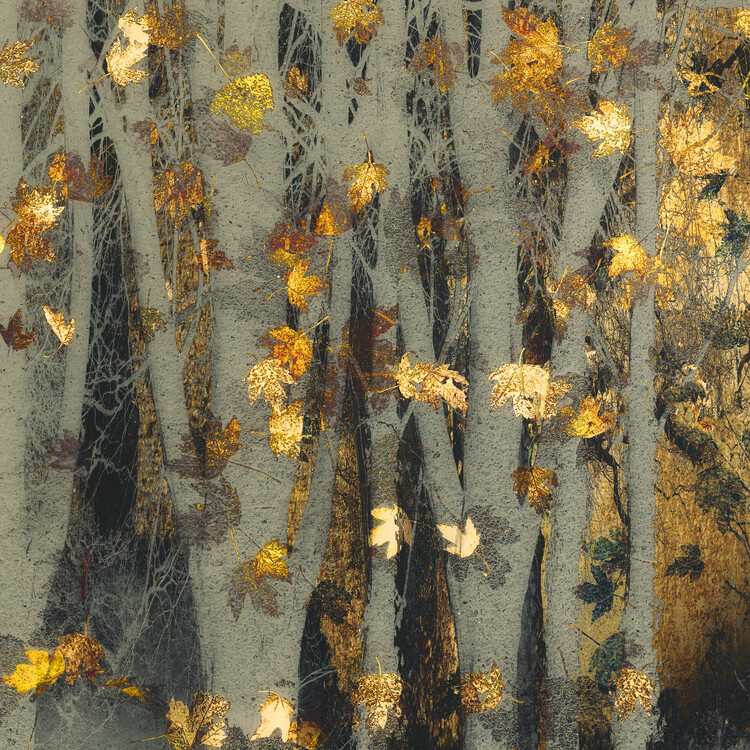 Ilustrace Gold leaf, Nel Talen, 40x40 cm