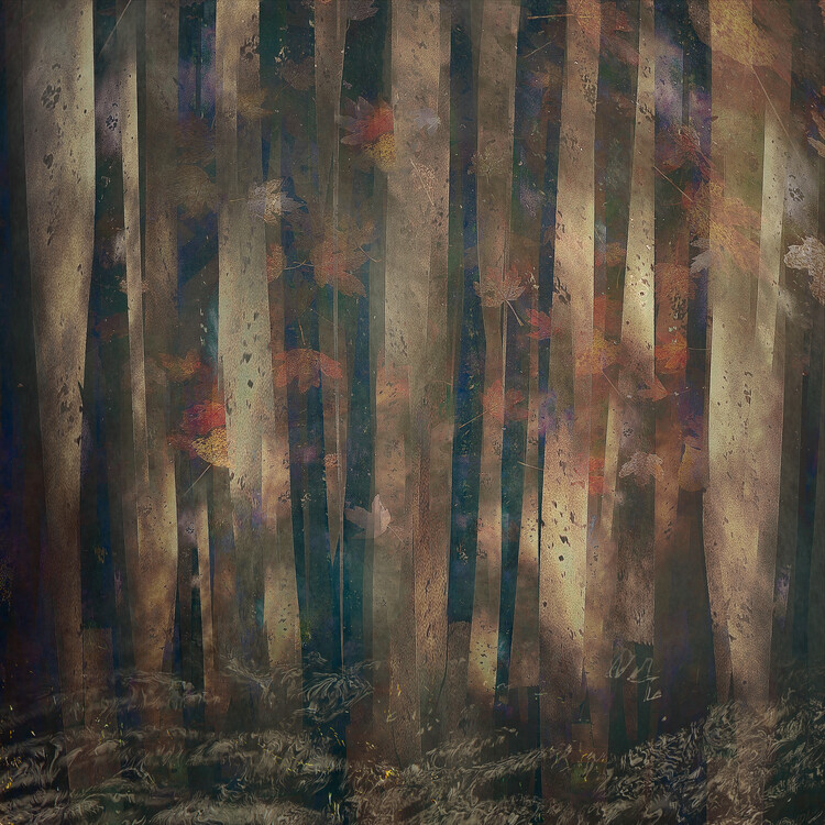 Ilustrace Forest abstract, Nel Talen, 40x40 cm
