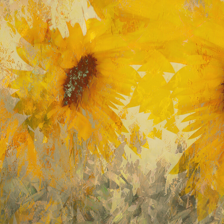 Ilustrace Sunflower, Nel Talen, 40x40 cm