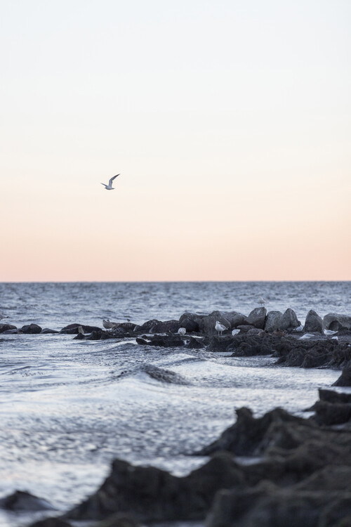 Fotografie Coast Landscapes, Mareike Böhmer, (26.7 x 40 cm)