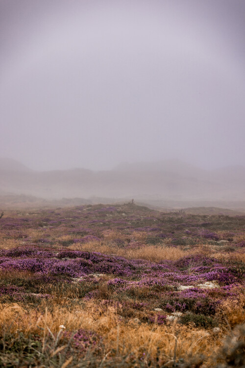 Fotografie Dunes 1, Mareike Böhmer, 26.7x40 cm