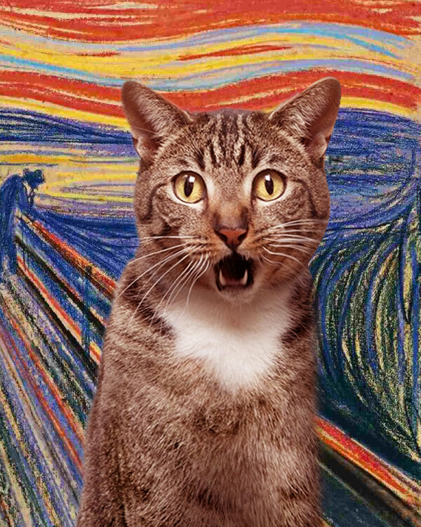 Kunstfotografie Funny Cat Scary