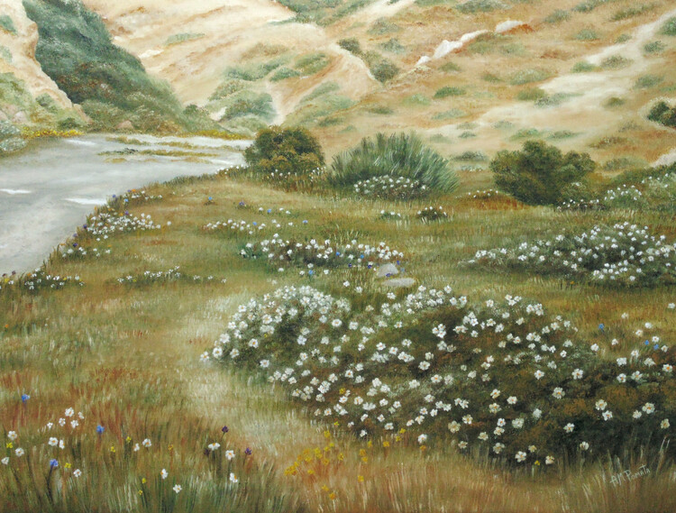 Ilustrace Path of Flowers, Angeles M. Pomata, (40 x 30 cm)