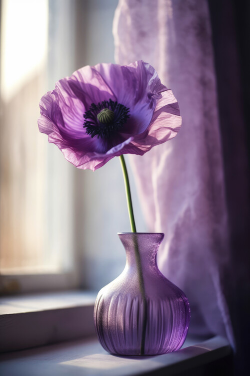 Fotografie Purple Poppy In Vase, Treechild, 26.7x40 cm