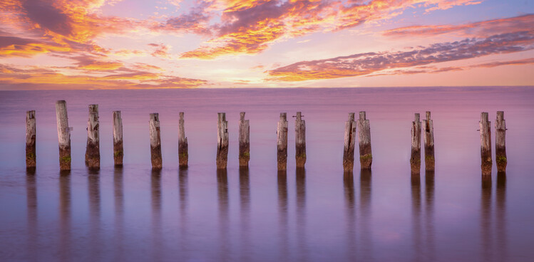 Fotografie Cape Pilings in Purple, Ed Esposito, (40 x 20 cm)