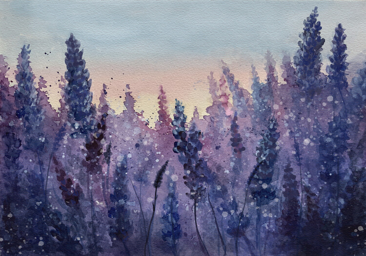 Fotografie Purple field, Monica Lindblom, 40x26.7 cm