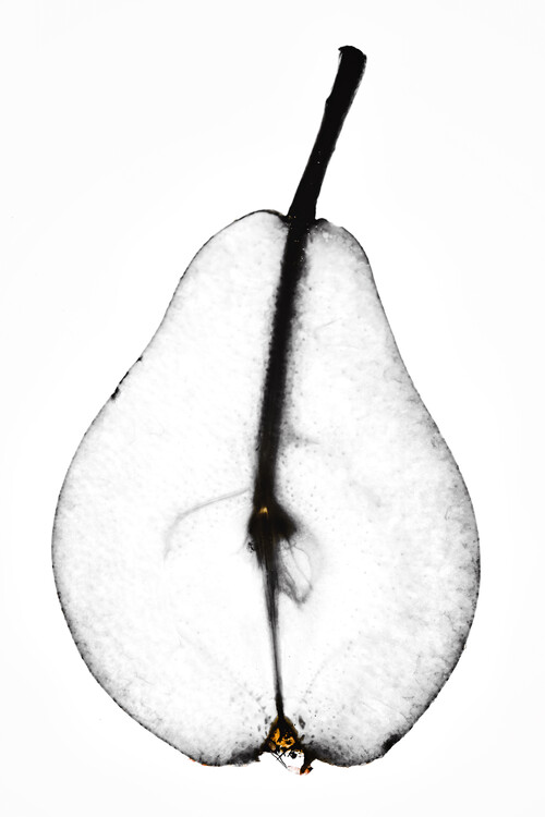 Fotografie Pear, Magda Izzard, (26.7 x 40 cm)