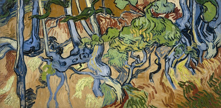 Vincent van Gogh - Obrazová reprodukce Tree roots, 1890, (40 x 20 cm)