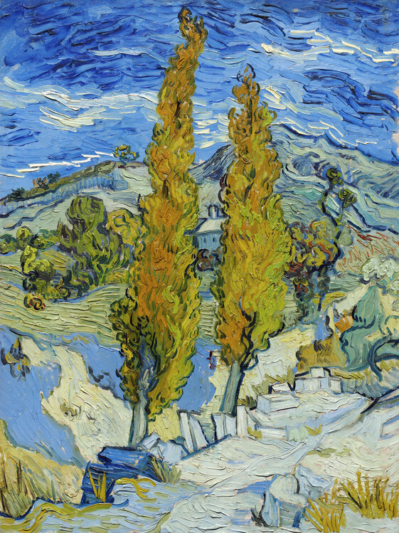 Obrazová reprodukce The Poplars at Saint-Rémy (1889), Vincent van Gogh, 30x40 cm