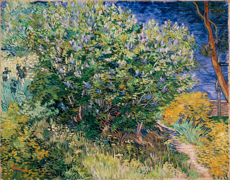 Art Print Van Gogh - Giardino Fiorito | Posters, Wall Art 