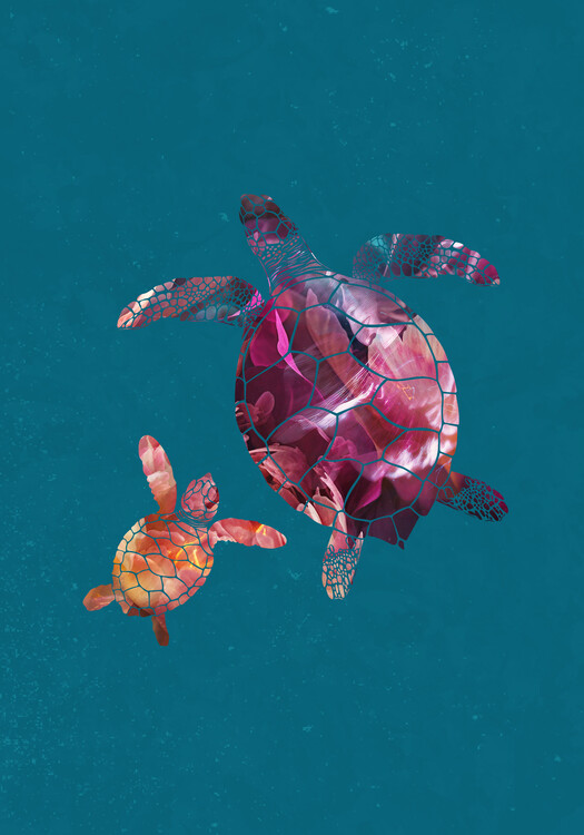 Ilustrace Colourful Turtles, Sarah Manovski, 26.7x40 cm