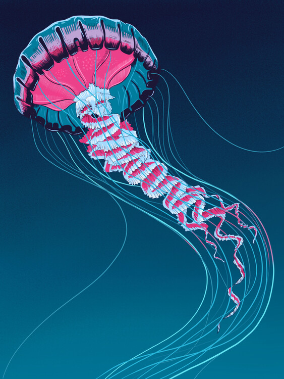 Ilustrace Lions Mane Jellyfish, Mark Harrison, 30 × 40 cm