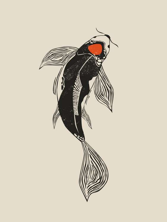 Trikó - Koi Trikó - Koi