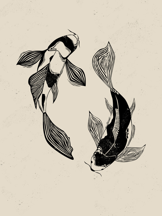 Trikó - Koi Trikó - Koi