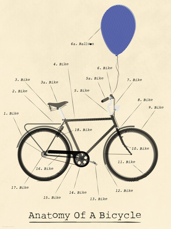 Ilustrace Anatomy, Wyatt 9, 30 × 40 cm