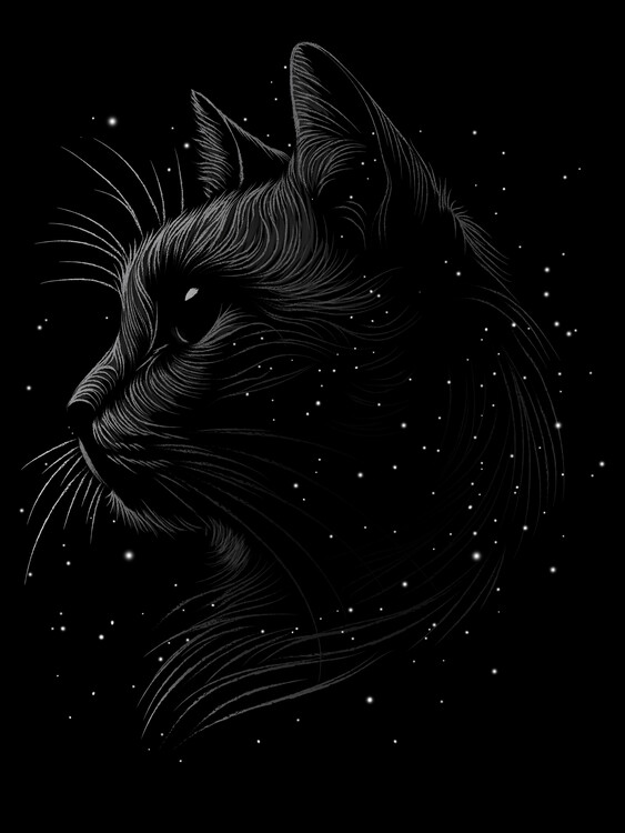 Trikó - Space Cat Trikó - Space Cat