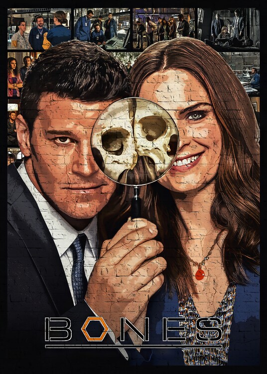 Plakát Bones