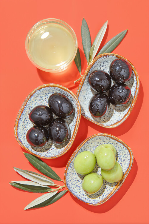 Obraz na plátně Olive Harmony