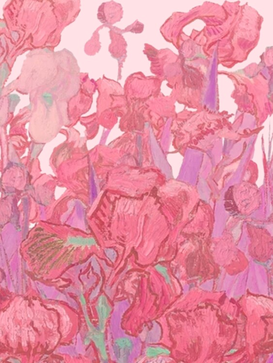 Plakát Pink Flowers