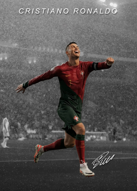 Obraz na plátně Best Player Of All Time