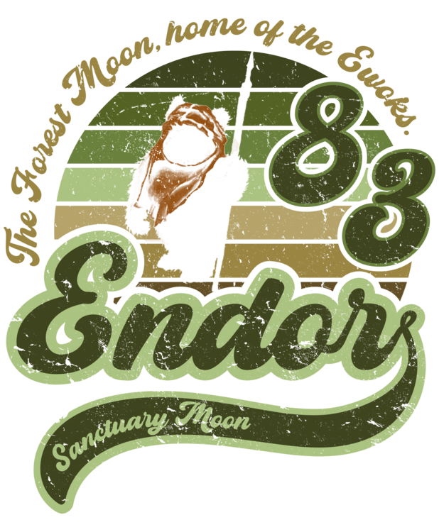 Tričko Vintage Sanctuary Moon