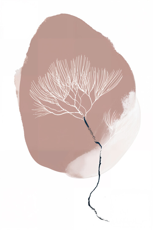 Obraz na plátně Desert Bloom Outline