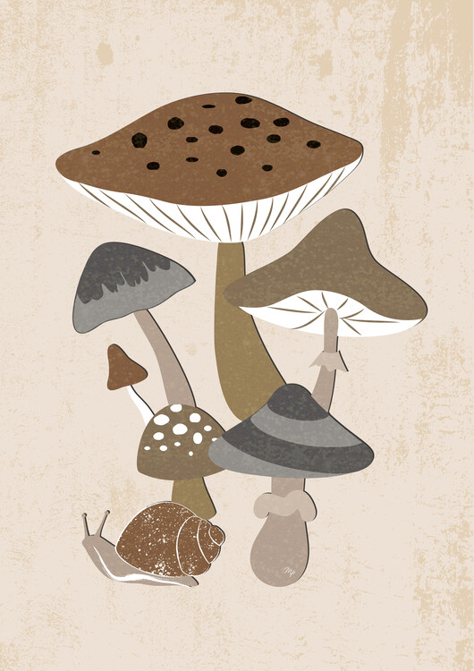 Plakát Brown Mushrooms