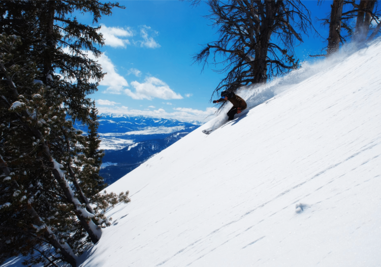 Plakát Skier Expertly Navigates a Snowy Slope