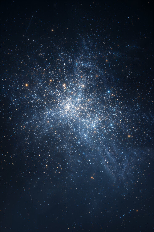 Plakát Stellar Bloom