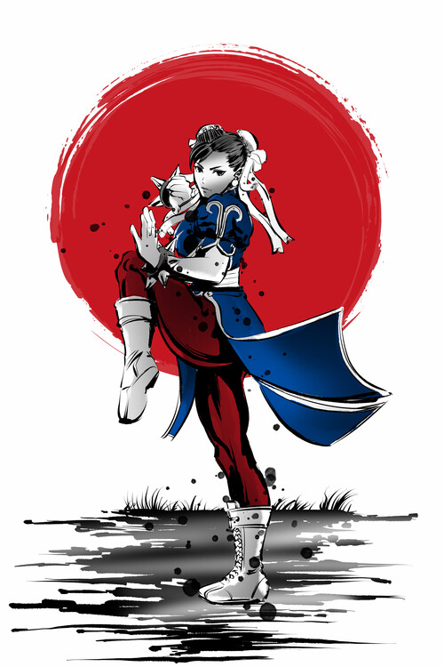 Plakát Chinese Martial Arts Fighter