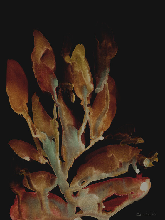 Plakát Night Plant