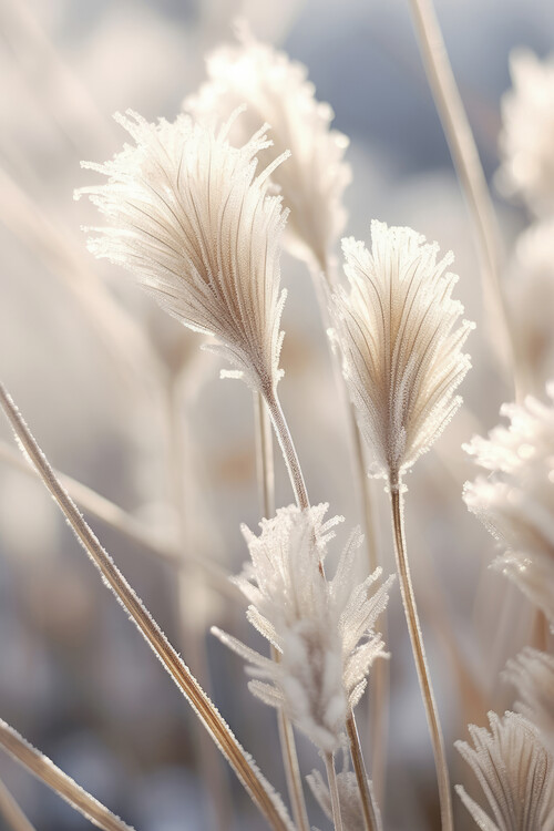 Samolepka Frosted Elegance