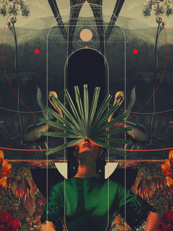 Plakát She Saw the Equator